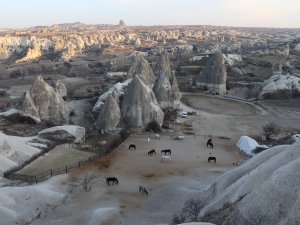 cappadocia horse tour